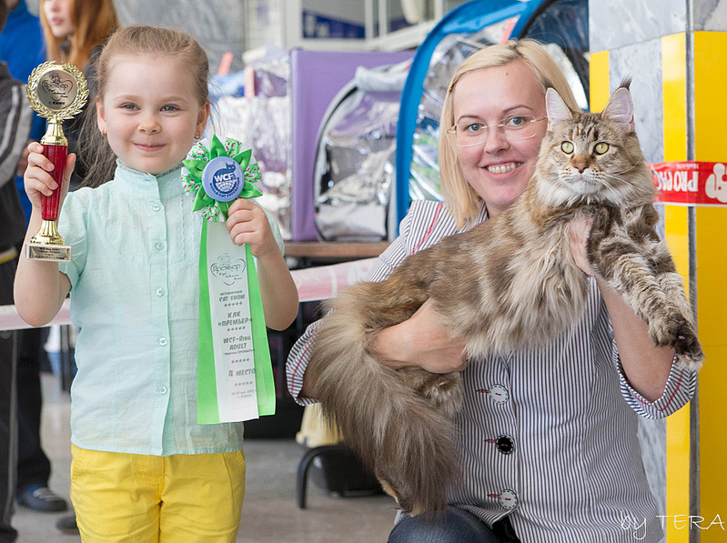 click for enlarge 1920 X 1434 898.6 Kb picture