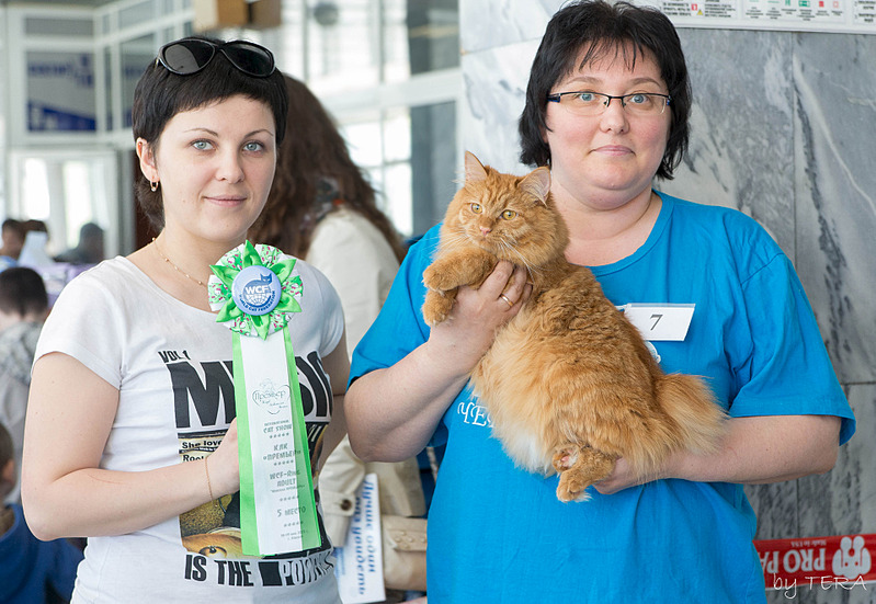 click for enlarge 1920 X 1324 671.1 Kb picture