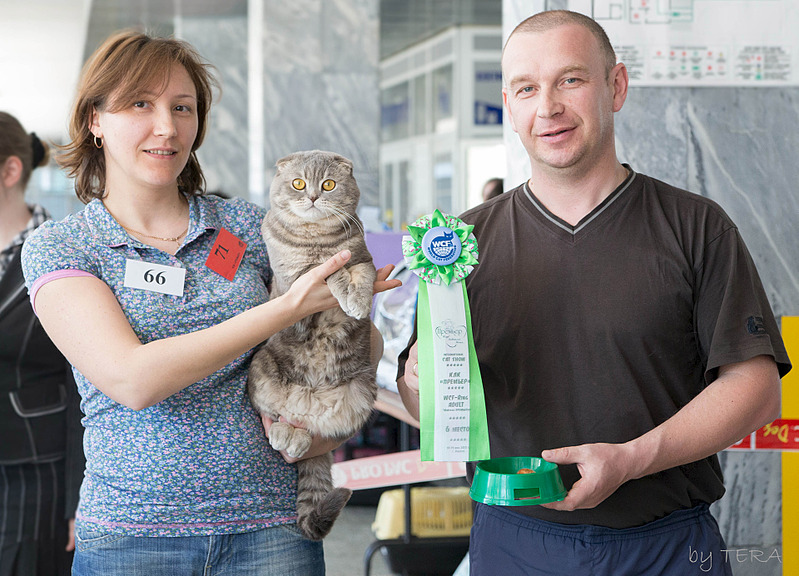 click for enlarge 1920 X 1383 767.6 Kb picture