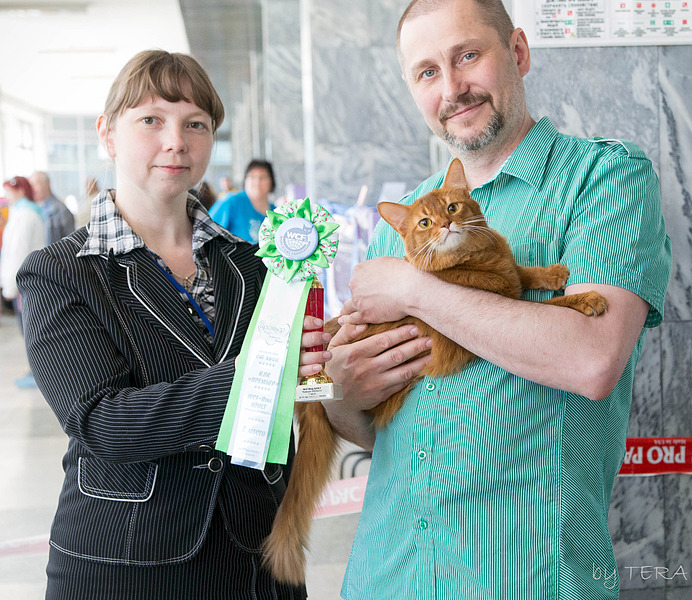 click for enlarge 1920 X 1664 459.0 Kb picture