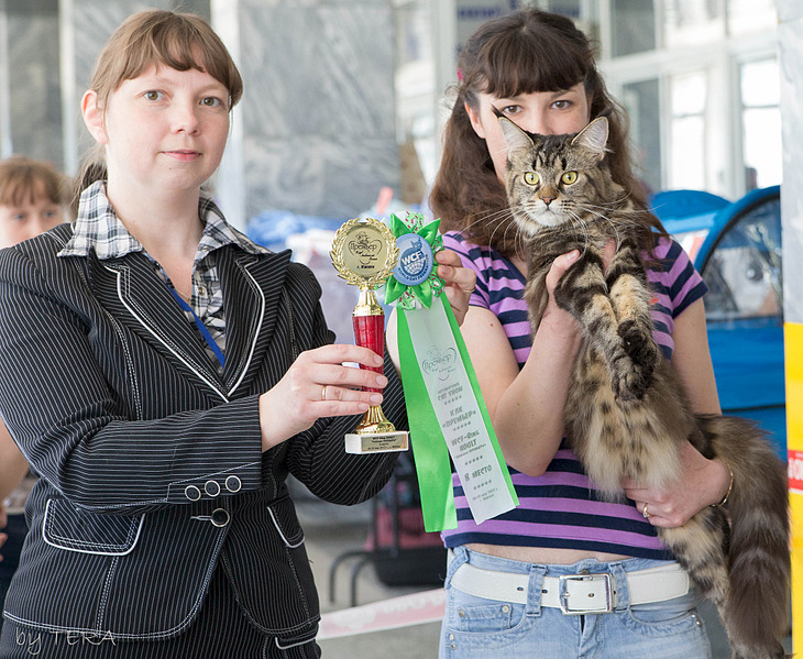 click for enlarge 1920 X 1576 1018.7 Kb picture