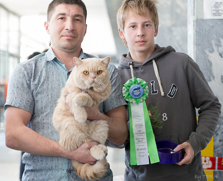 click for enlarge 1920 X 1560 771.6 Kb picture