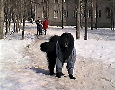 click for enlarge 415 X 324 110.8 Kb picture