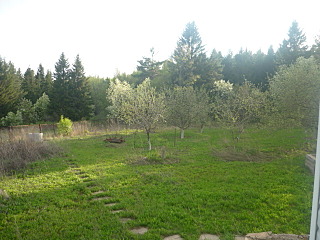 click for enlarge 640 X 480 170.1 Kb picture