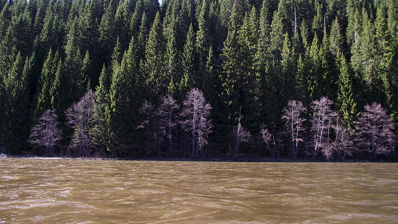 click for enlarge 1920 X 1079 323.6 Kb picture