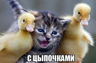 click for enlarge 604 X 402  47.9 Kb picture