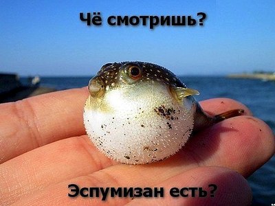 click for enlarge 604 X 453  54.6 Kb picture