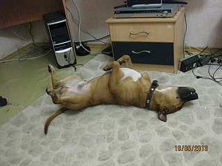 click for enlarge 1600 X 1200 632.2 Kb picture