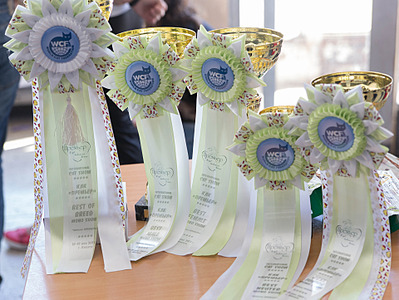 click for enlarge 1920 X 1441 650.0 Kb picture