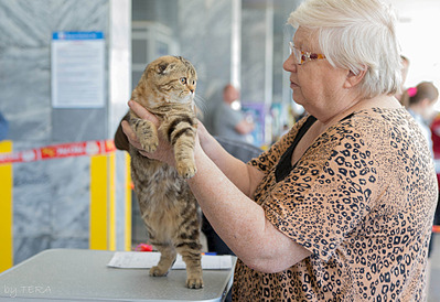 click for enlarge 1920 X 1317 740.2 Kb picture