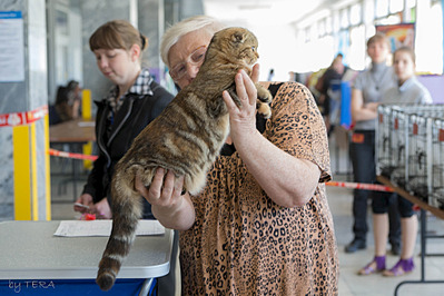 click for enlarge 1920 X 1280 607.8 Kb picture