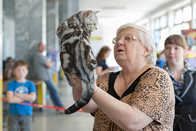 click for enlarge 1920 X 1280 561.0 Kb picture