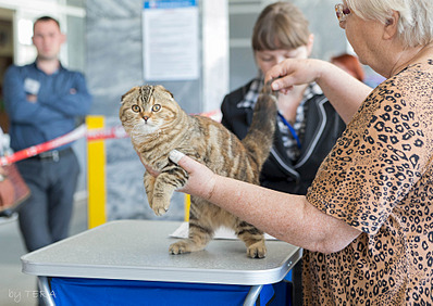 click for enlarge 1920 X 1357 797.1 Kb picture