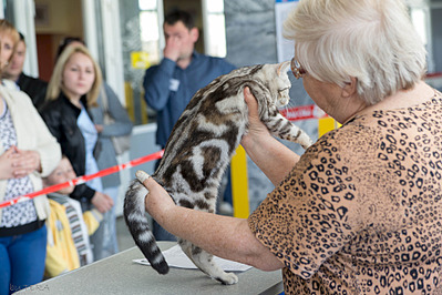 click for enlarge 1920 X 1280 659.1 Kb picture