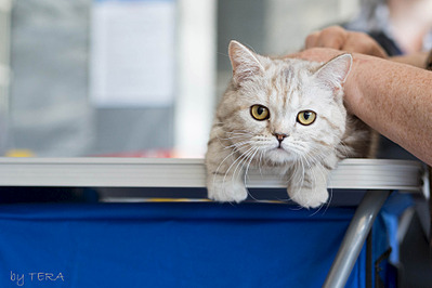 click for enlarge 1920 X 1280 458.0 Kb picture