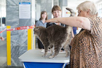 click for enlarge 1920 X 1279 708.3 Kb picture