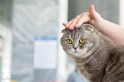 click for enlarge 1920 X 1279 476.7 Kb picture