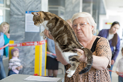 click for enlarge 1920 X 1280 543.8 Kb picture