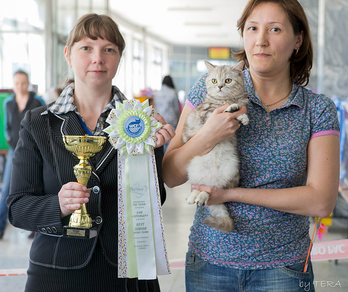 click for enlarge 1920 X 1607 893.7 Kb picture