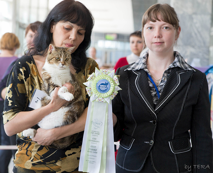 click for enlarge 1920 X 1552 756.3 Kb picture