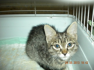 click for enlarge 1920 X 1440 560.0 Kb picture