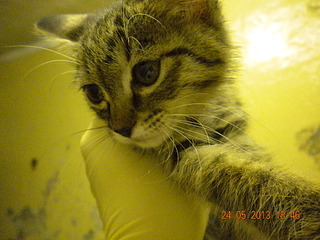 click for enlarge 1920 X 1440 979.2 Kb picture