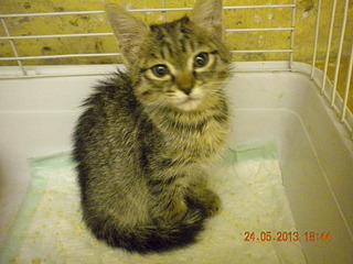 click for enlarge 1920 X 1440 966.0 Kb picture