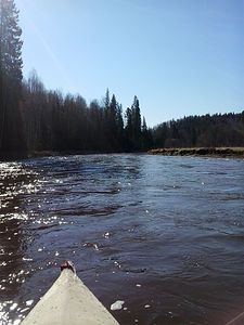 click for enlarge 1536 X 2048 453.5 Kb picture