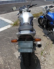 click for enlarge 480 X 612 118.1 Kb picture