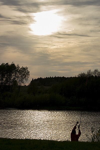 click for enlarge 800 X 1200 499.1 Kb picture
