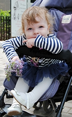 click for enlarge 809 X 1310 698.0 Kb picture