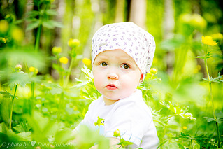 click for enlarge 1000 X 667 568.9 Kb picture