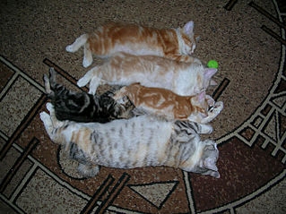 click for enlarge 640 X 479 73.5 Kb picture