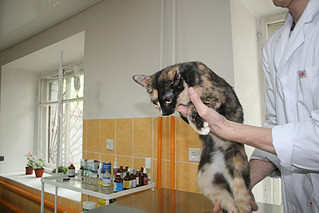 click for enlarge 800 X 533 282.8 Kb picture