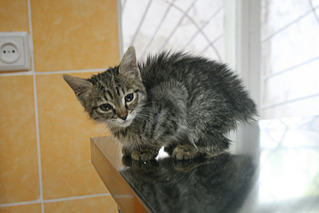 click for enlarge 800 X 533 239.3 Kb picture