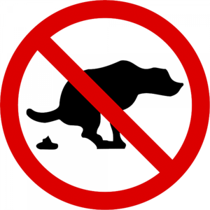 click for enlarge 600 X 600  90.7 Kb picture
