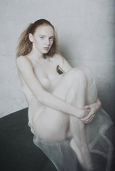 click for enlarge 500 X 739 193.7 Kb picture