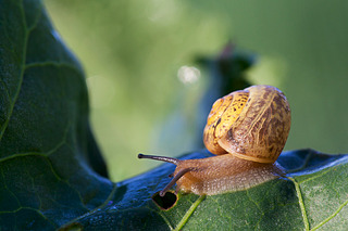 click for enlarge 900 X 600 353.3 Kb picture