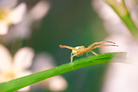 click for enlarge 900 X 604 315.1 Kb picture