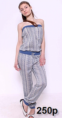 click for enlarge 223 X 427 123.3 Kb picture