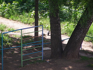 click for enlarge 1920 X 1440 409.5 Kb picture