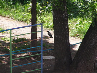 click for enlarge 1920 X 1440 892.0 Kb picture