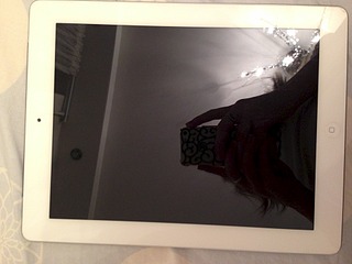 click for enlarge 1920 X 1440 426.9 Kb picture