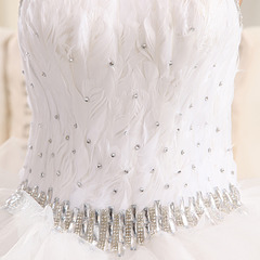 click for enlarge 800 X 800 302.3 Kb picture