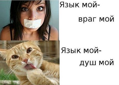 click for enlarge 590 X 421 44.7 Kb picture