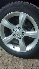 click for enlarge 1840 X 3264 649.3 Kb picture