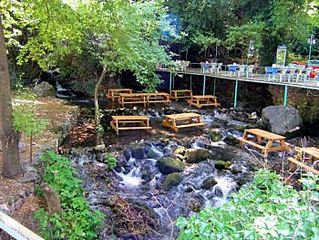 click for enlarge 350 X 263 33.4 Kb picture