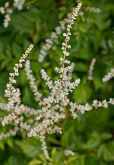 click for enlarge 1920 X 2764 992.4 Kb picture