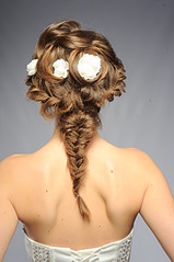 click for enlarge 1920 X 2885 988.2 Kb picture