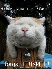 click for enlarge 337 X 450 45.8 Kb picture